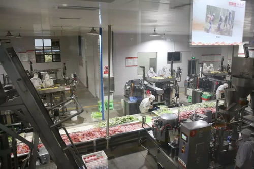 復工復產 赤水開 竹 馬力做 竹 文章