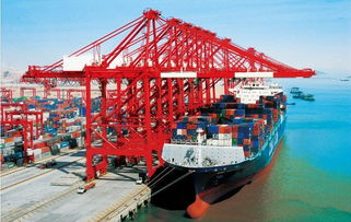 內(nèi)貿(mào)海運(yùn)物流中心 提升國(guó)內(nèi)貨物運(yùn)輸代理效率的核心樞紐